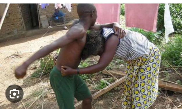 TASHIN HANKALI GIDA (DOMESTIC VIOLENCE)